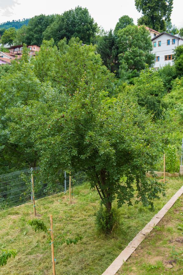 Leader Apartment Saraievo Exterior foto